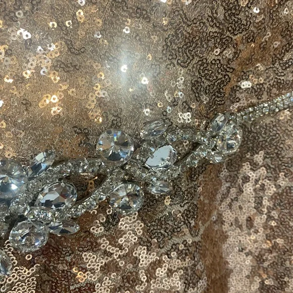 Elegant Strapless Sequin Dress - Picture 3 of 8